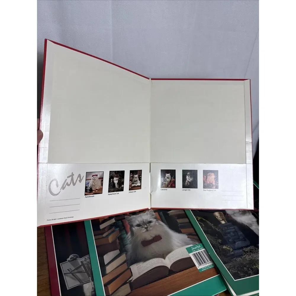 Vintage Stuart Hall Folder Lot Cats in School Unpunched Excellent Cond 1993 NOS